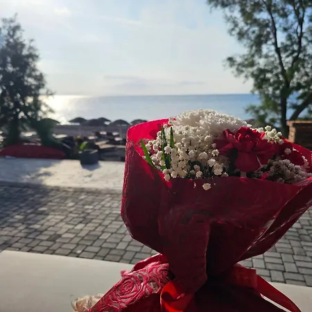 Elixir Del Mar On The Lejlighedshotel 4*