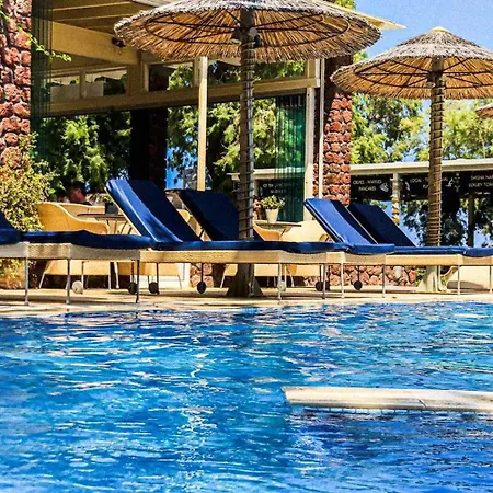 Elixir Del Mar On The 4*